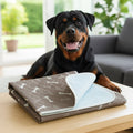 Dog Training Pee Pad