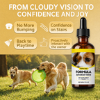 Advanced Eye & Vision Support for Dogs