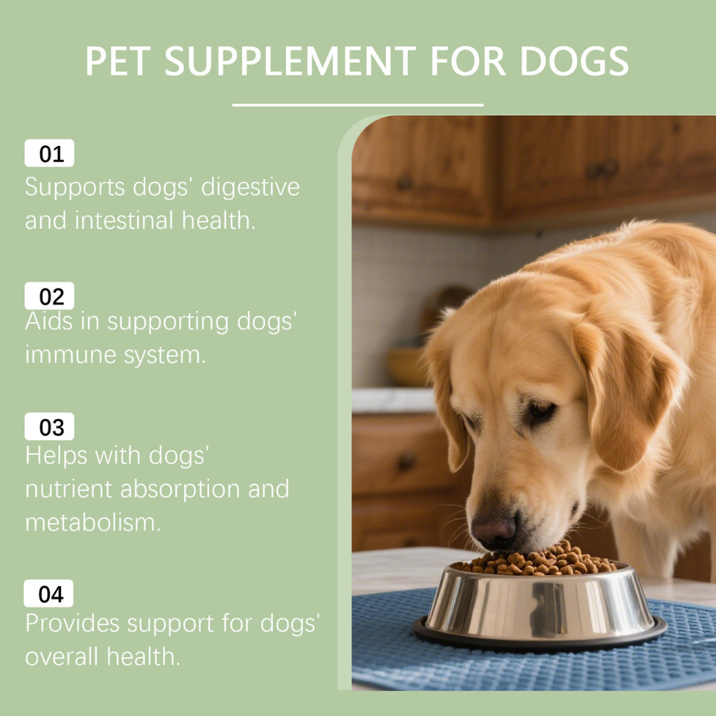 Advanced Eye & Vision Support for Dogs