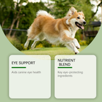 Advanced Eye & Vision Support for Dogs