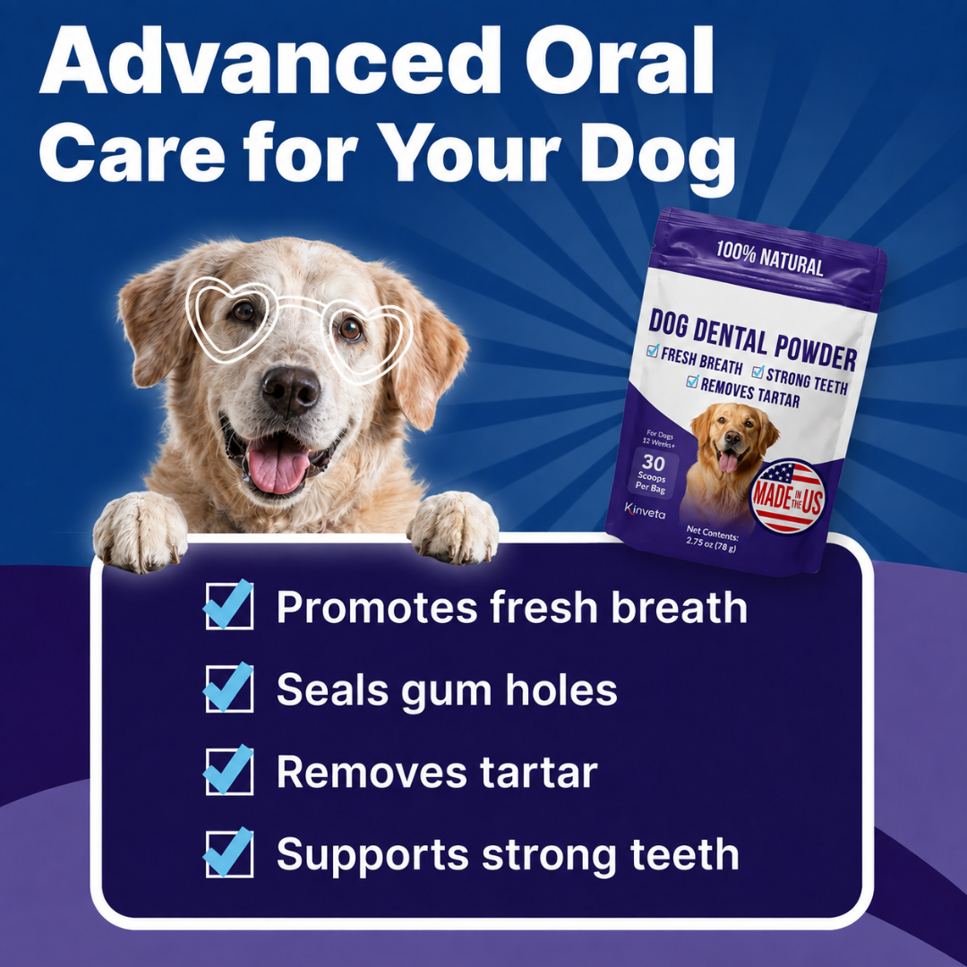 Bowl & Bright Dental Powder