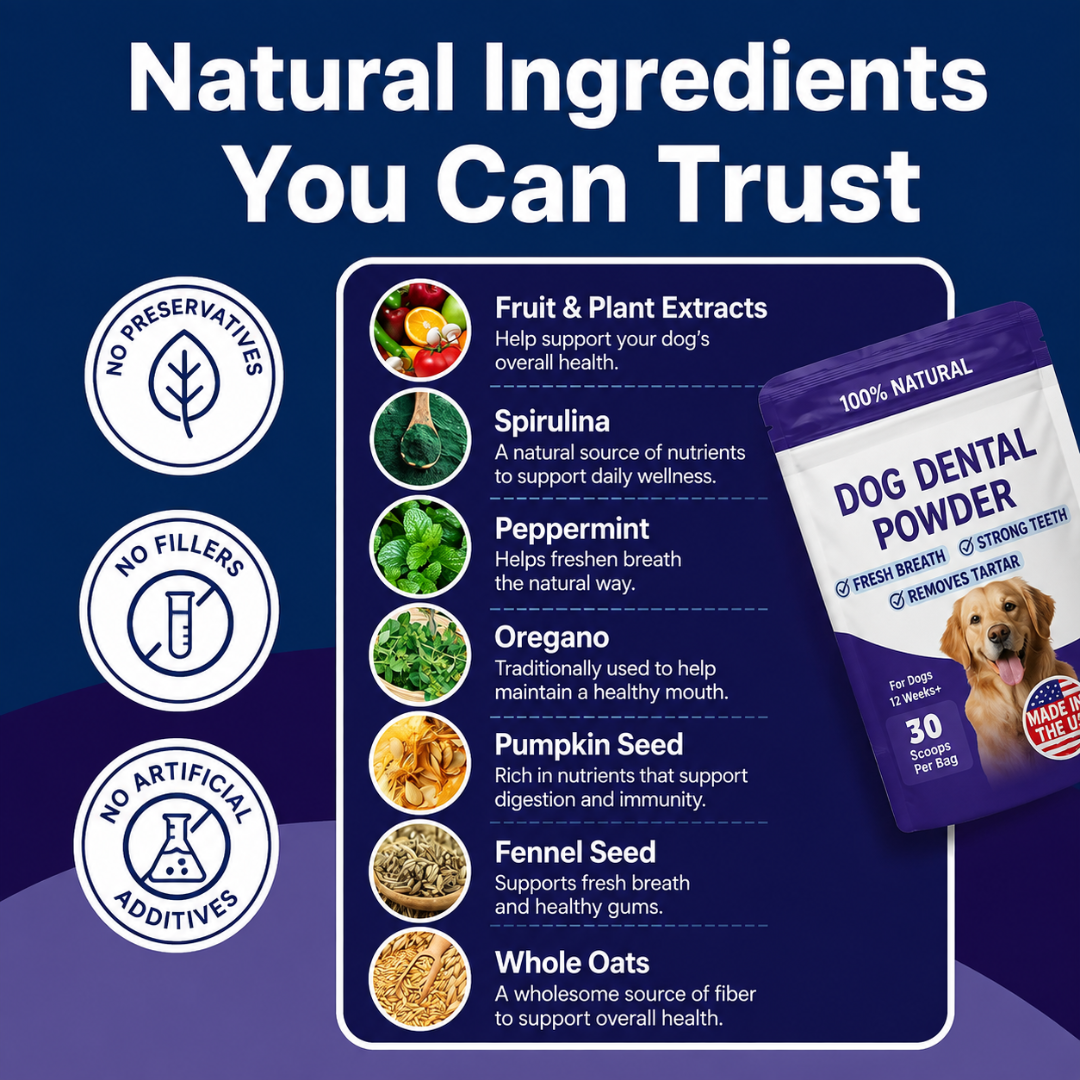 Bowl & Bright Dental Powder