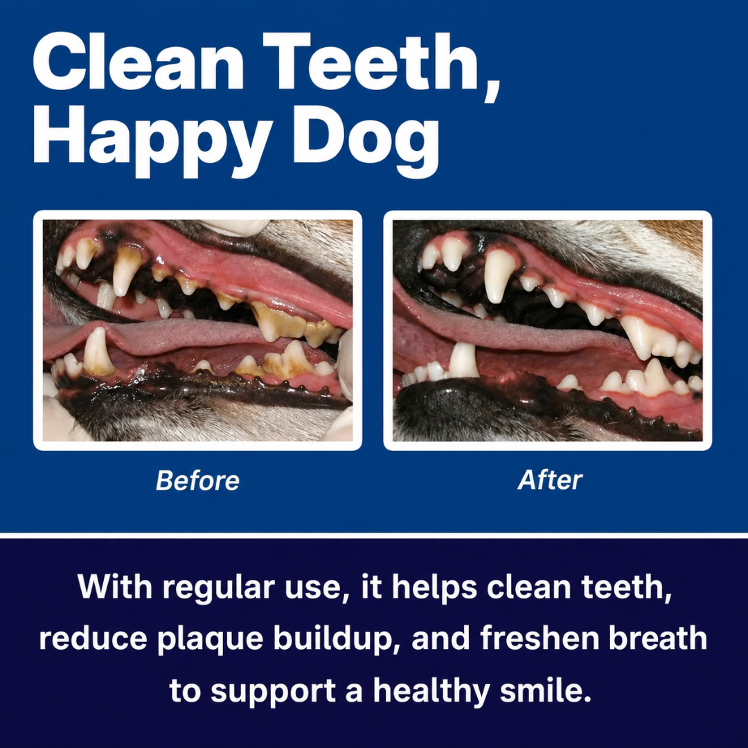 Bowl & Bright Dental Powder