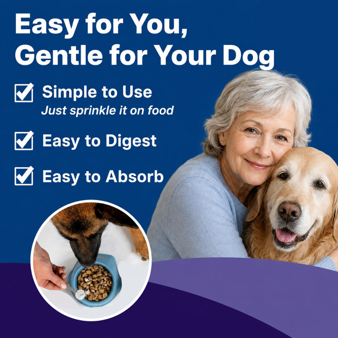 Bowl & Bright Dental Powder