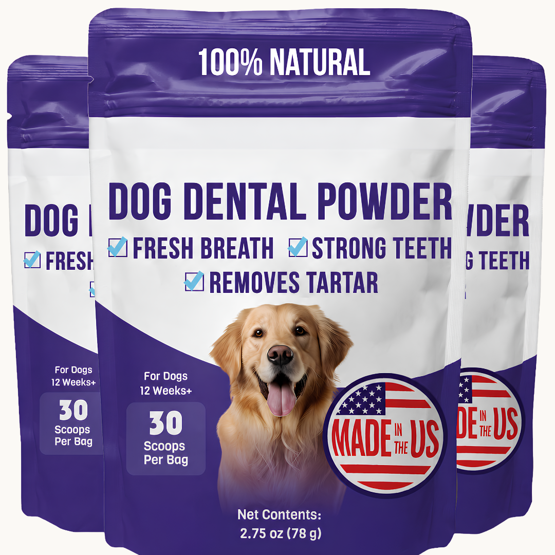 Bowl & Bright Dental Powder