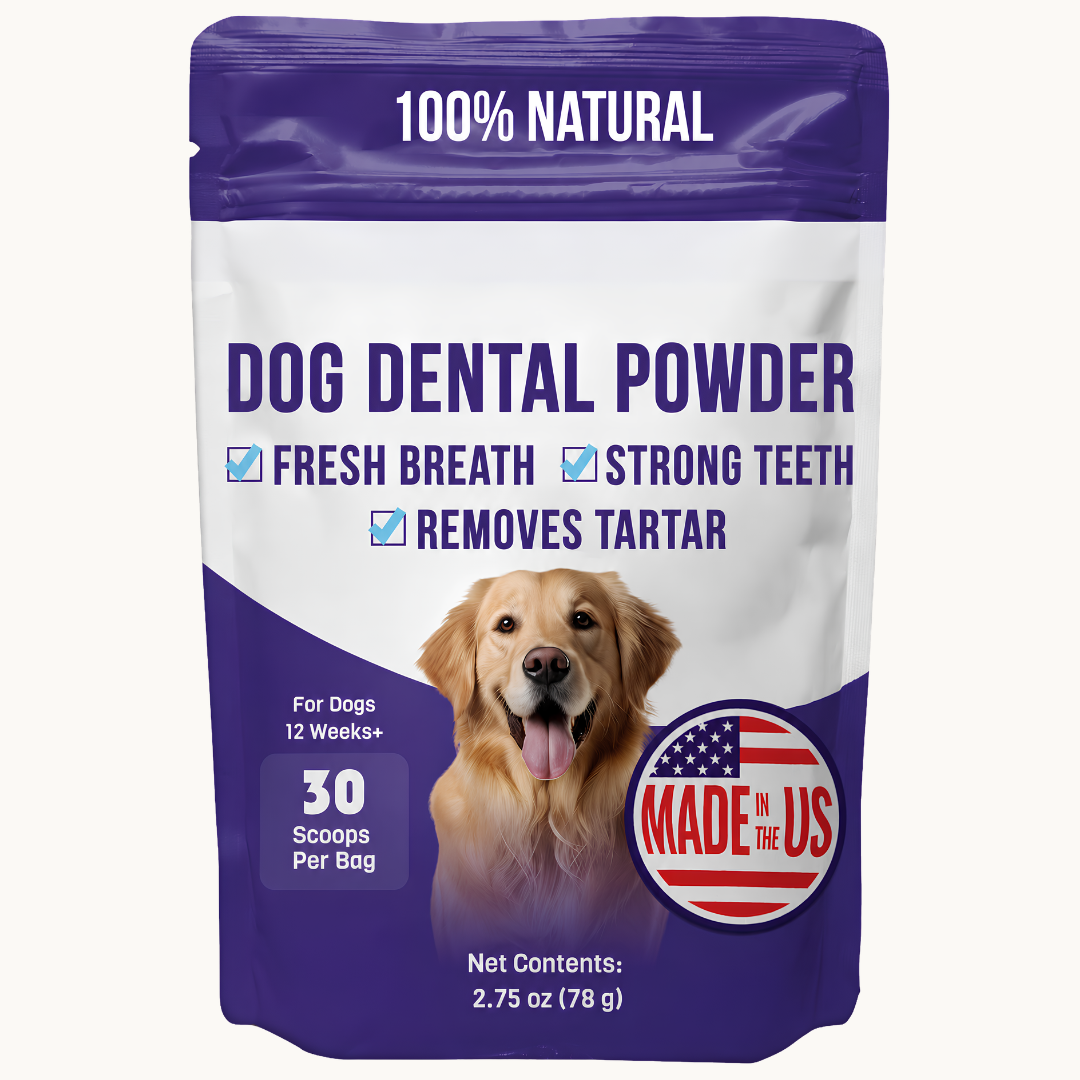 Bowl & Bright Dental Powder