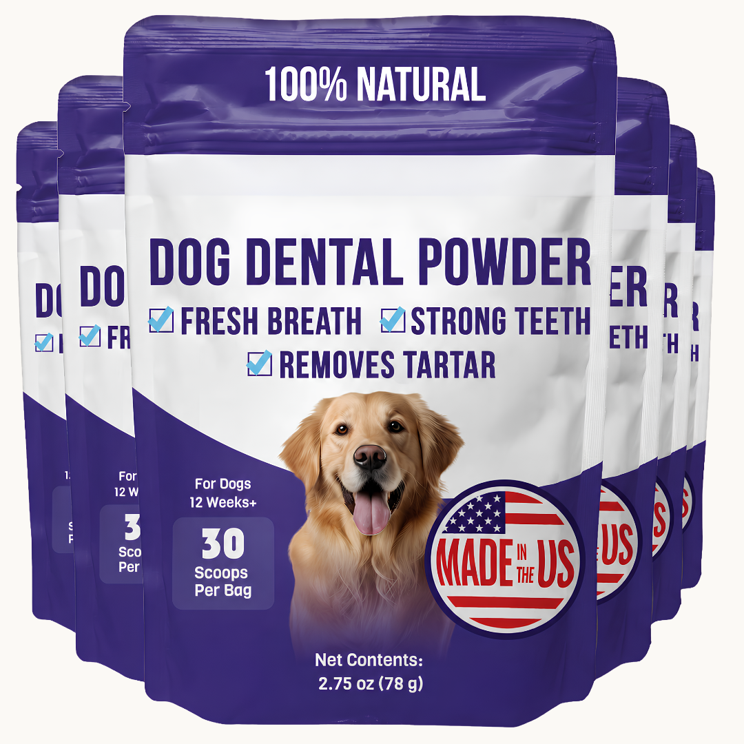 Bowl & Bright Dental Powder