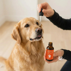 Daily Liquid Supplement For Dogs