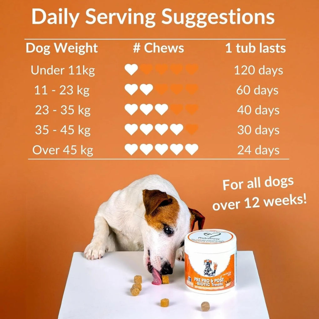 Dog Prebiotics Digestive Snacks