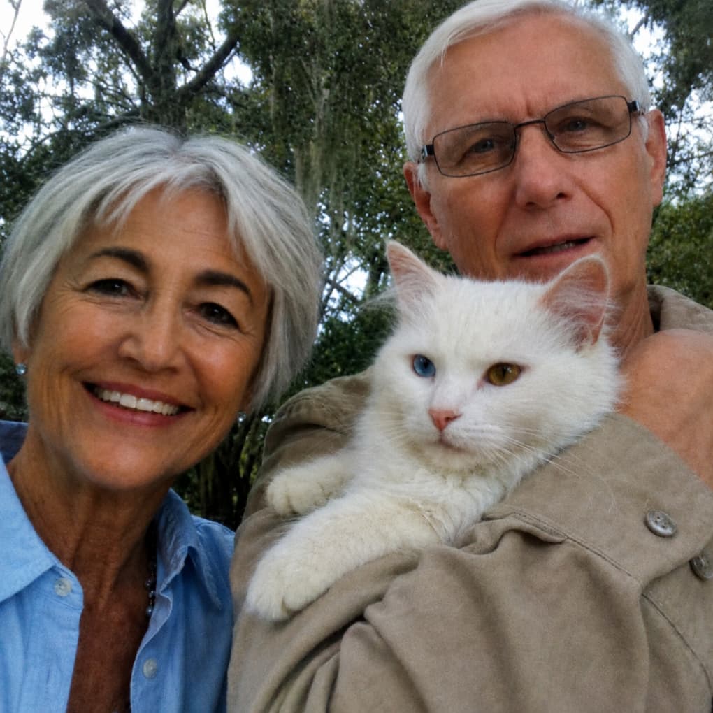 Kinveta Daily Probiotic Drops for Cats