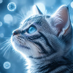 Kinveta Daily Probiotic Drops for Cats