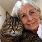 Kinveta Daily Probiotic Drops for Cats