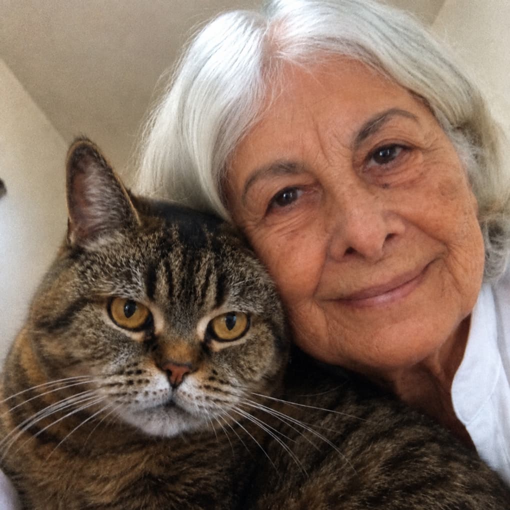 Kinveta Daily Probiotic Drops for Cats