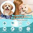 Nuzzle Dual-Pheromone Calming Collar — Drug-Free Calm for the Dog Who Panics When You Leave
