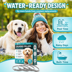 Nuzzle Dual-Pheromone Calming Collar — Drug-Free Calm for the Dog Who Panics When You Leave