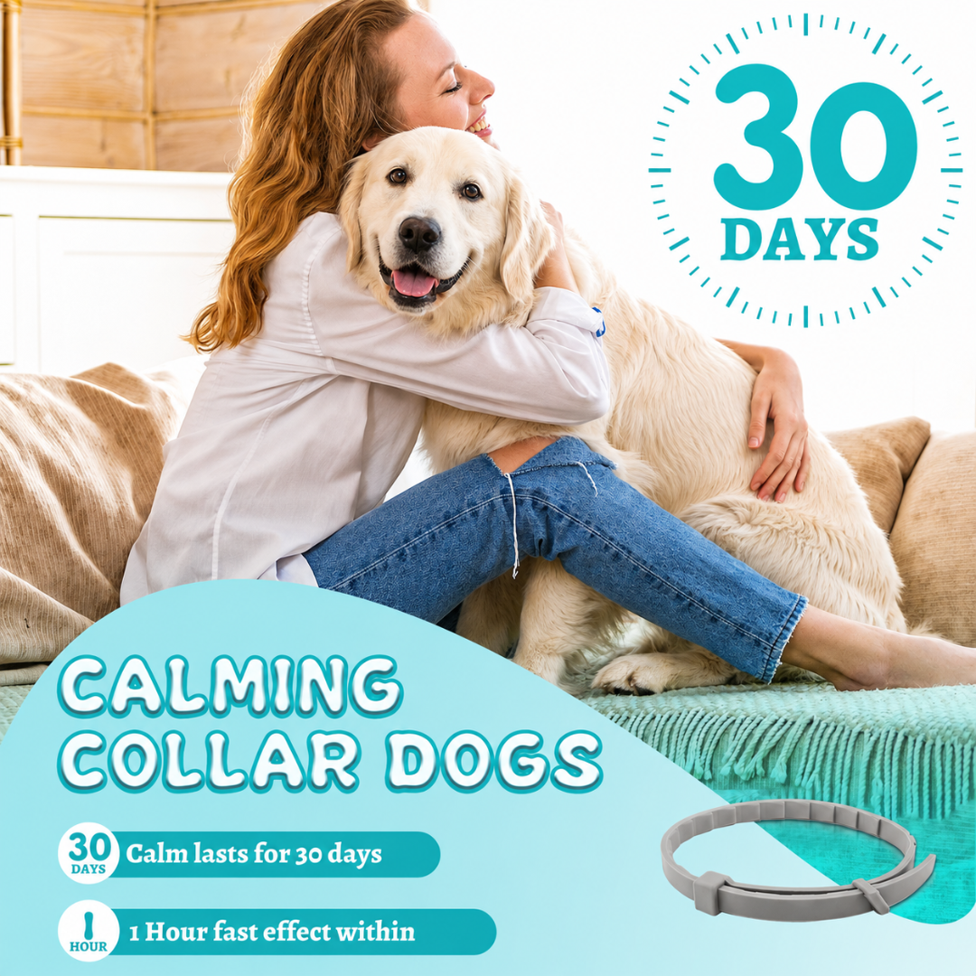 Nuzzle Dual-Pheromone Calming Collar — Drug-Free Calm for the Dog Who Panics When You Leave