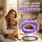 Nuzzle Dual-Pheromone Calming Collar — Drug-Free Calm for the Dog Who Panics When You Leave