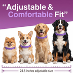 Nuzzle Dual-Pheromone Calming Collar — Drug-Free Calm for the Dog Who Panics When You Leave