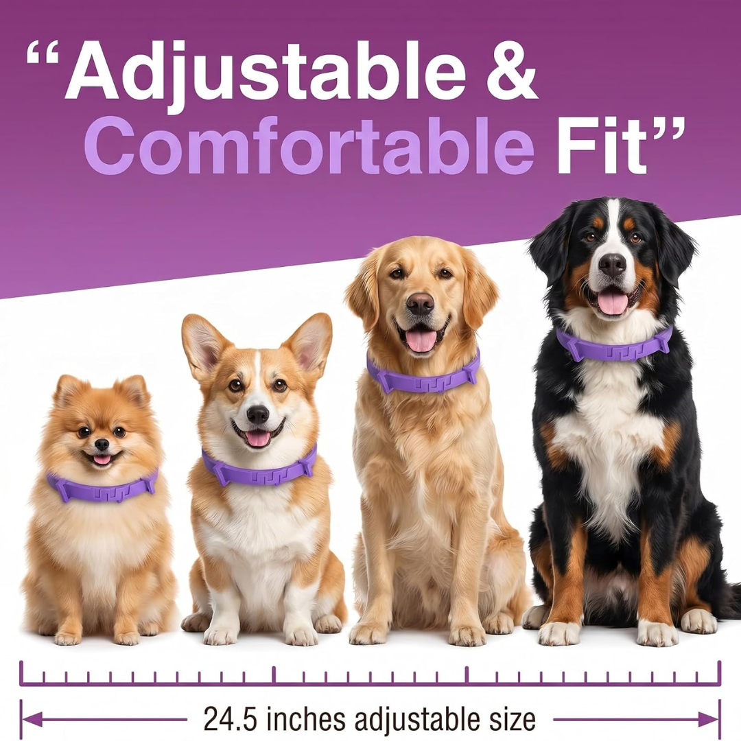 Nuzzle Dual-Pheromone Calming Collar — Drug-Free Calm for the Dog Who Panics When You Leave