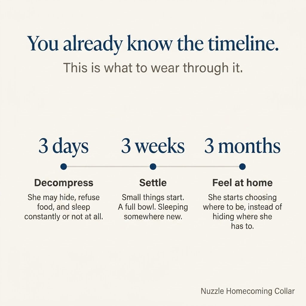 Nuzzle Homecoming Collar — Calming Collar for Newly Adopted Rescue Dogs
