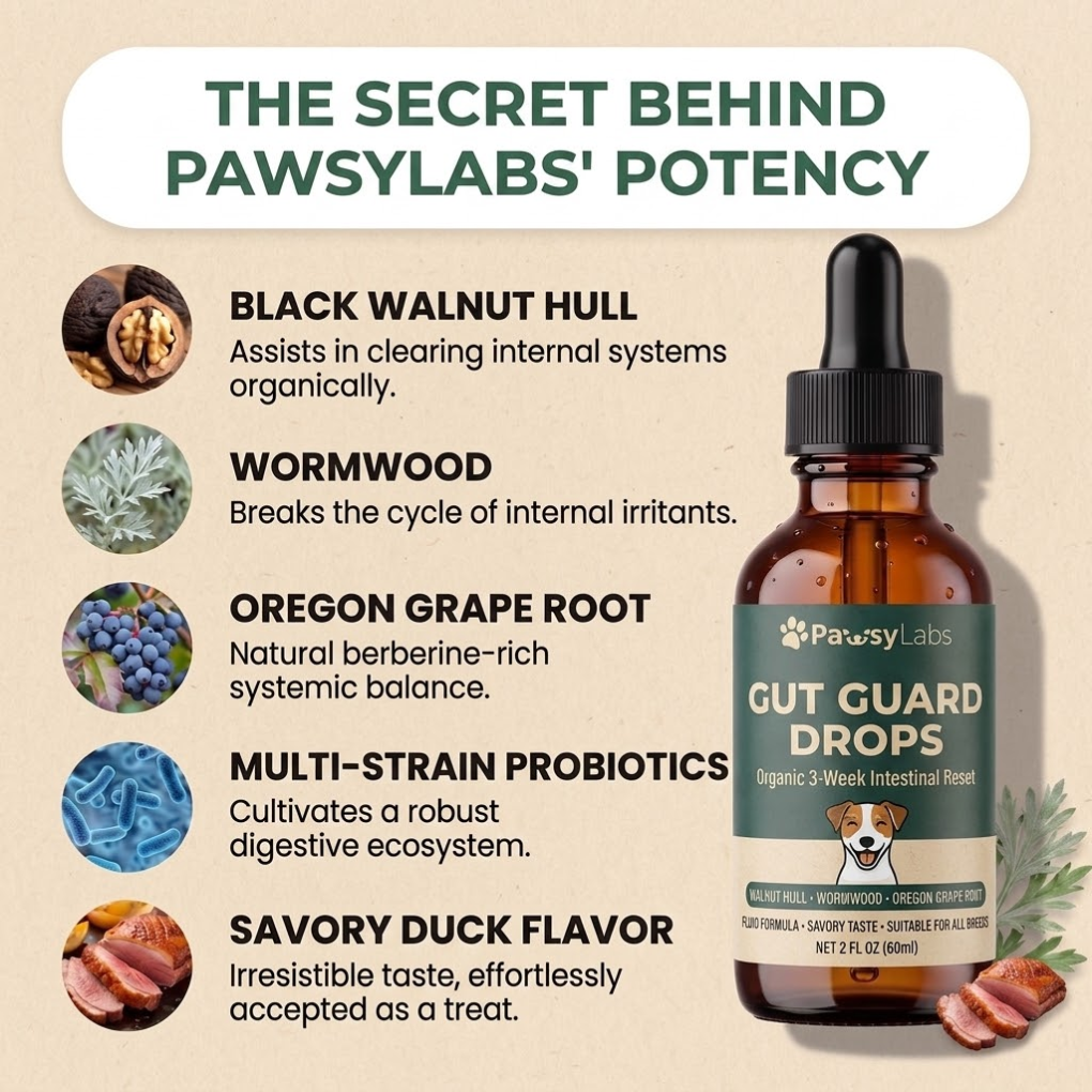 Parasite Cleanse Pet Care Drops