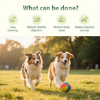 Parasite Cleanse Pet Care Drops