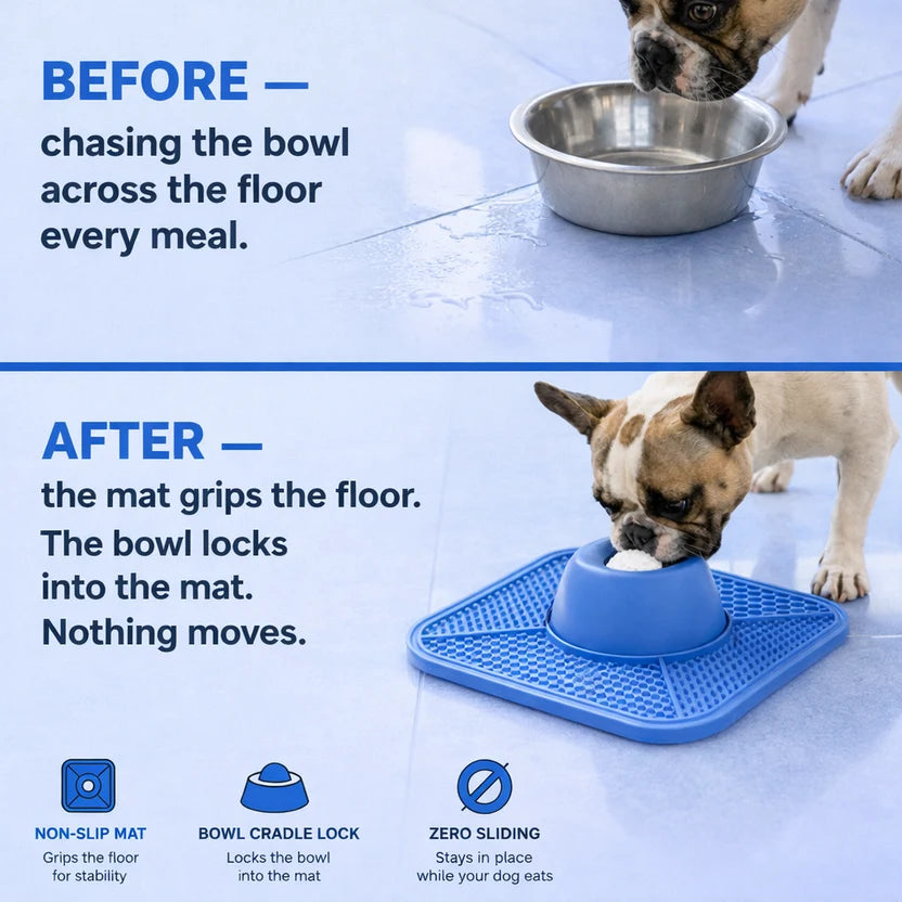 Slow Feeder Anti-Anxiety Dog Bowl