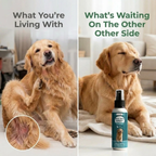 Dog Anti-Itch Spray