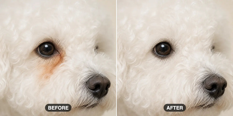 Before and after 3