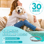 Woman hugging a relaxed golden retriever wearing a Nuzzle calming collar for 30 days
