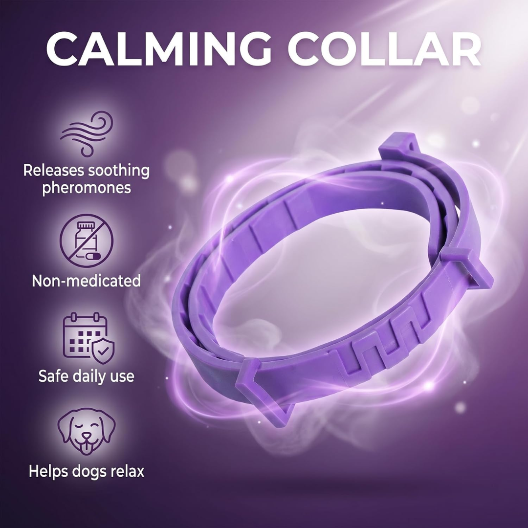 Purple Nuzzle calming collar with icons for soothing pheromones and safe daily use